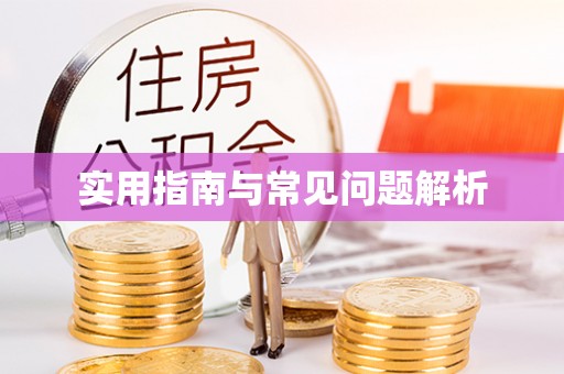 东风实用指南与常见问题解析