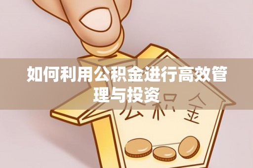东风如何利用公积金进行高效管理与投资