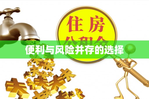 东风便利与风险并存的选择