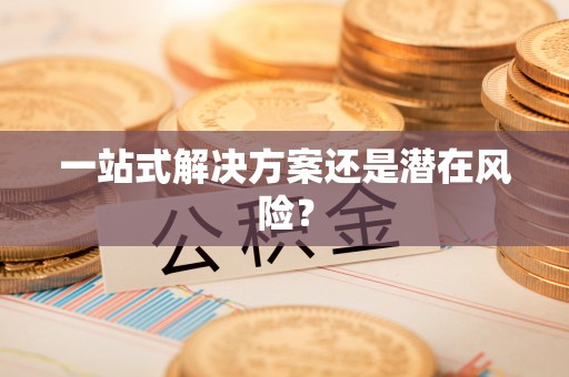 东风一站式解决方案还是潜在风险？